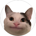 Robin Aluhood profile picture